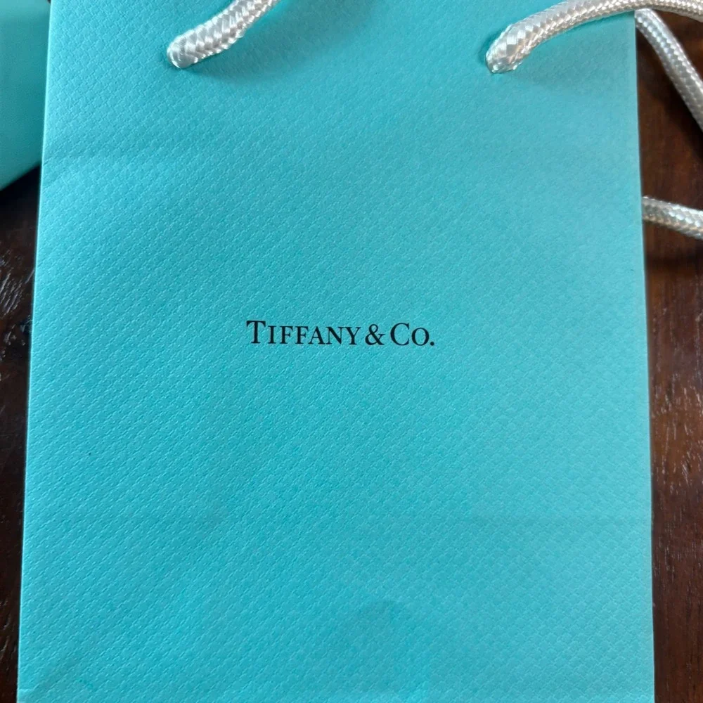 Tiffany & Co Mini Shopping Gift Bags Set of 4 Tiffany Blue Rope Handle Small